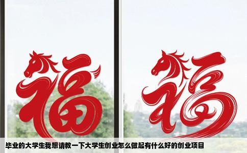 毕业的大学生我想请教一下大学生创业怎么做起有什么好的创业项目