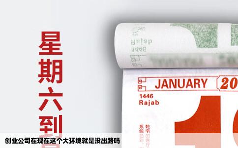 创业公司在现在这个大环境就是没出路吗