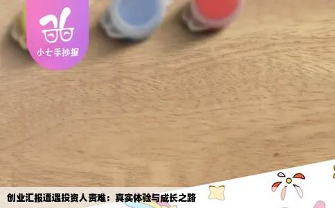 创业汇报遭遇投资人责难：真实体验与成长之路