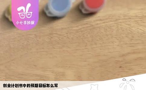 创业计划书中的预期目标怎么写
