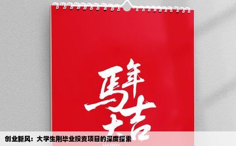 创业新风：大学生刚毕业投资项目的深度探索
