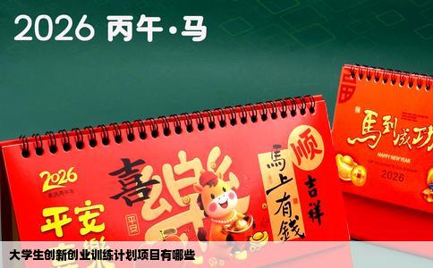 大学生创新创业训练计划项目有哪些