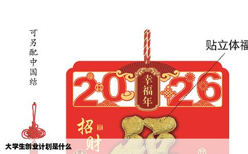 大学生创业计划是什么