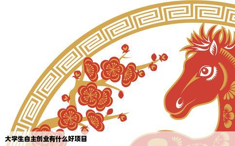 大学生自主创业有什么好项目