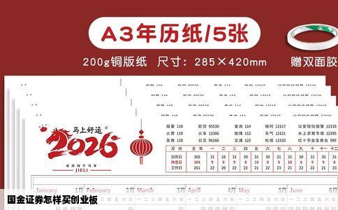 国金证券怎样买创业板