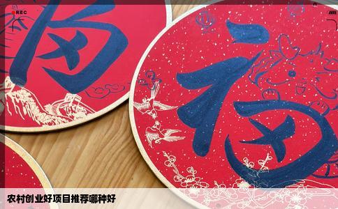 农村创业好项目推荐哪种好