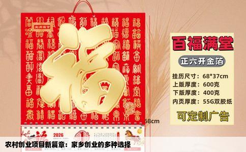 农村创业项目新篇章：家乡创业的多种选择