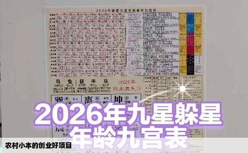 农村小本的创业好项目