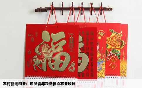 农村新潮创业：返乡青年领跑体面农业项目