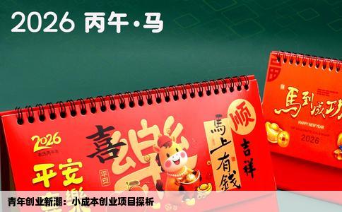 青年创业新潮：小成本创业项目探析