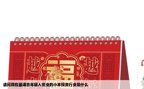 请问现在最适合年轻人创业的小本投资行业是什么