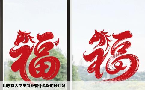 山东省大学生创业有什么好的项目吗