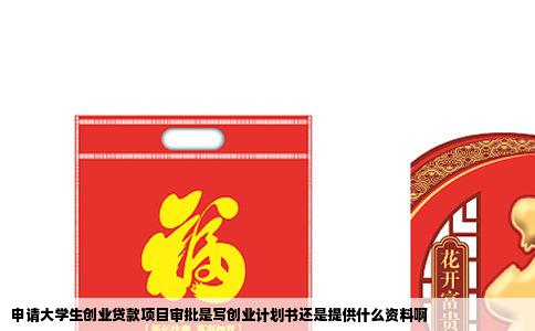 申请大学生创业贷款项目审批是写创业计划书还是提供什么资料啊