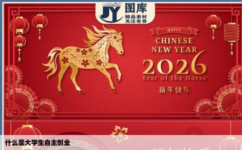 什么是大学生自主创业