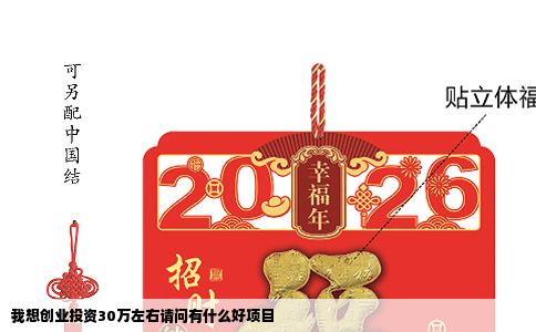 我想创业投资30万左右请问有什么好项目