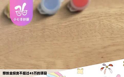 想创业投资不超过45万的项目