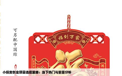小投资创业项目选择策略：当下热门与前景分析