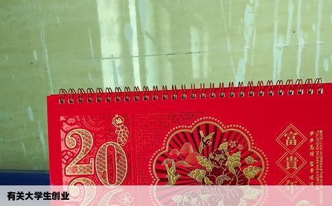 有关大学生创业