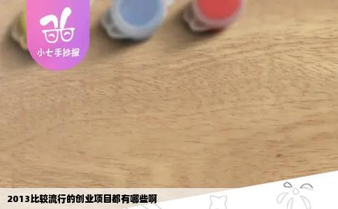 2013比较流行的创业项目都有哪些啊