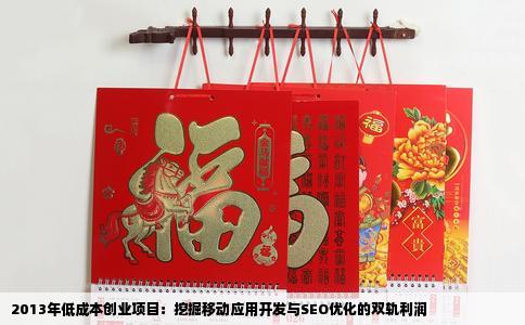 2013年低成本创业项目：挖掘移动应用开发与SEO优化的双轨利润