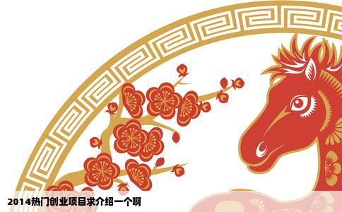2014热门创业项目求介绍一个啊