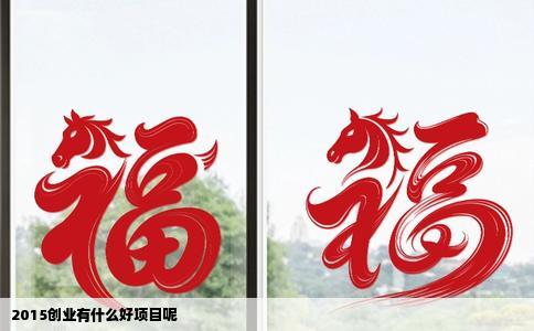 2015创业有什么好项目呢