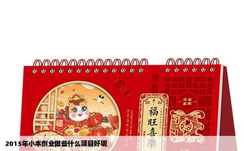 2015年小本创业做些什么项目好呢