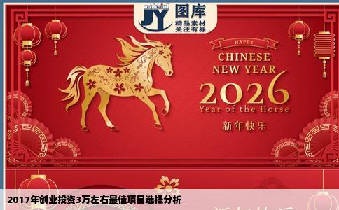 2017年创业投资3万左右最佳项目选择分析