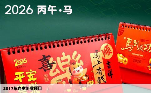 2017年自主创业项目