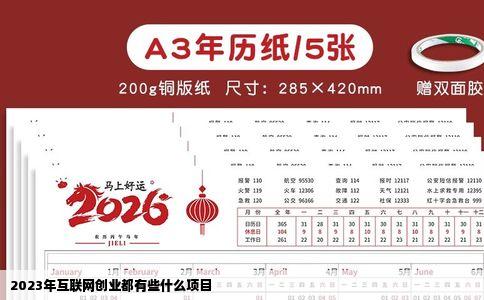 2023年互联网创业都有些什么项目