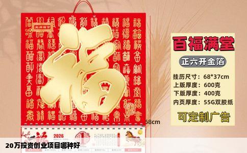 20万投资创业项目哪种好