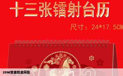 20W资金创业何在