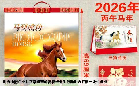 创办小微企业并正常经营的高校毕业生鼓励地方开展一次性创业