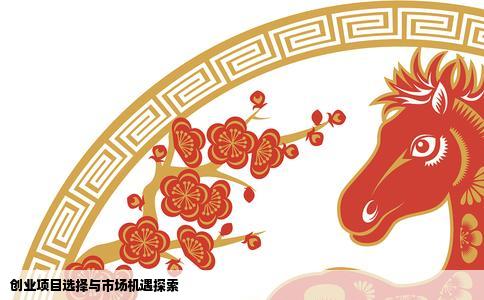 创业项目选择与市场机遇探索