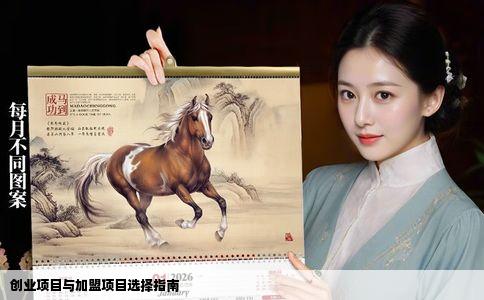 创业项目与加盟项目选择指南