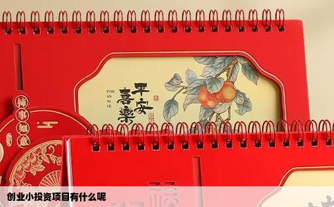 创业小投资项目有什么呢
