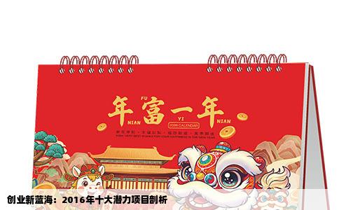 创业新蓝海：2016年十大潜力项目剖析