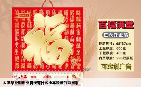 大学毕业想创业有没有什么小本经营的项目啊