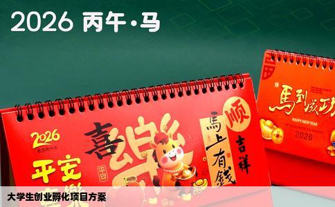 大学生创业孵化项目方案
