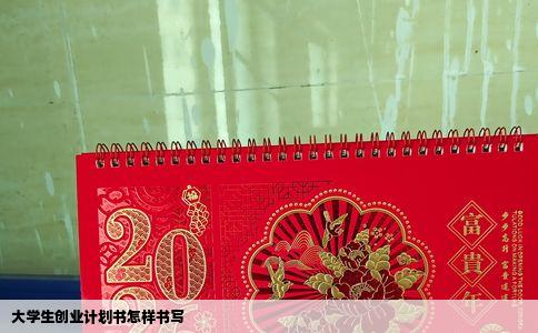 大学生创业计划书怎样书写