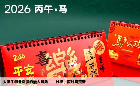 大学生创业面临的最大风险——分析、应对与策略