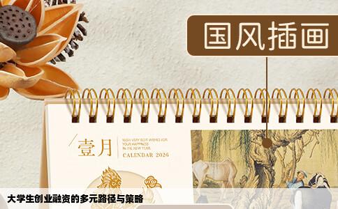 大学生创业融资的多元路径与策略