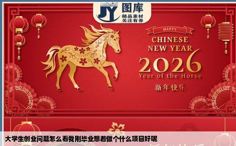 大学生创业问题怎么看我刚毕业想着做个什么项目好呢