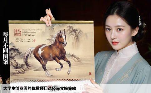 大学生创业园的优质项目选择与实施策略