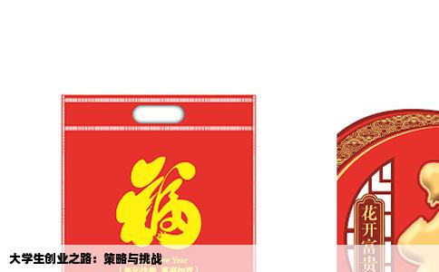 大学生创业之路：策略与挑战