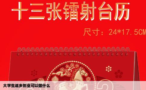 大学生返乡创业可以做什么