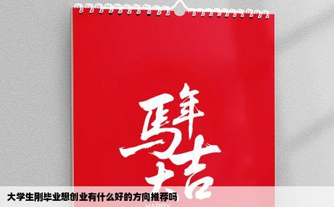 大学生刚毕业想创业有什么好的方向推荐吗