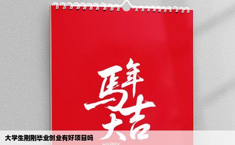 大学生刚刚毕业创业有好项目吗