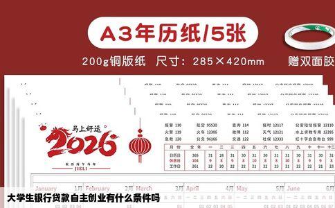 大学生银行贷款自主创业有什么条件吗