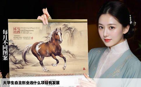 大学生自主创业选什么项目有发展